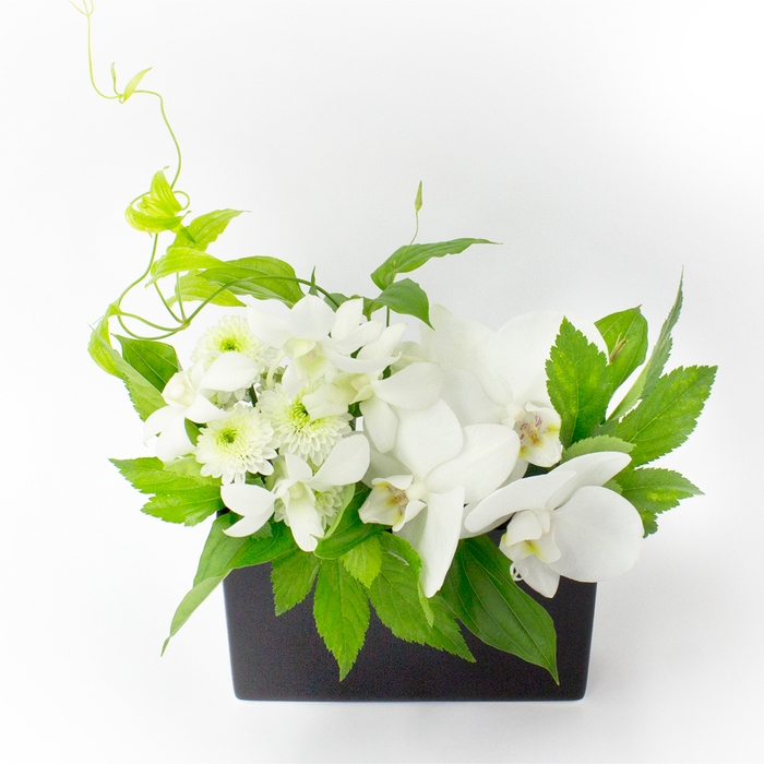 『和』なごみシリーズ SB ¥6,050(税込)