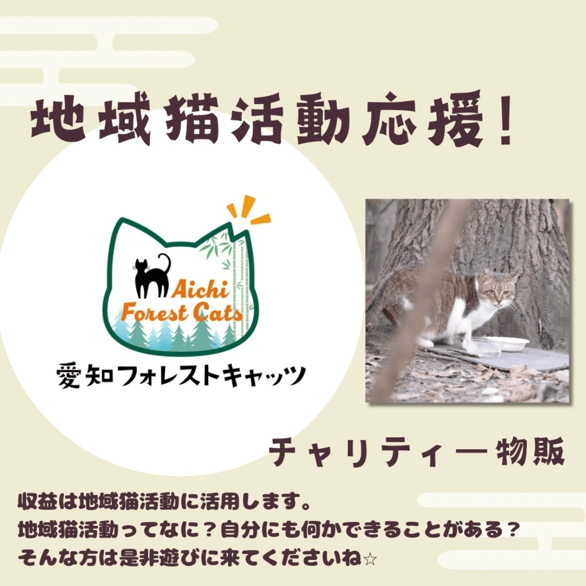 猫のいない?!譲渡会