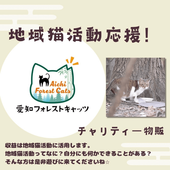 猫のいない?!譲渡会