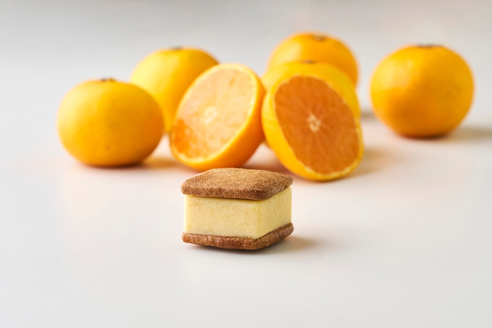 まるごと有田みかん