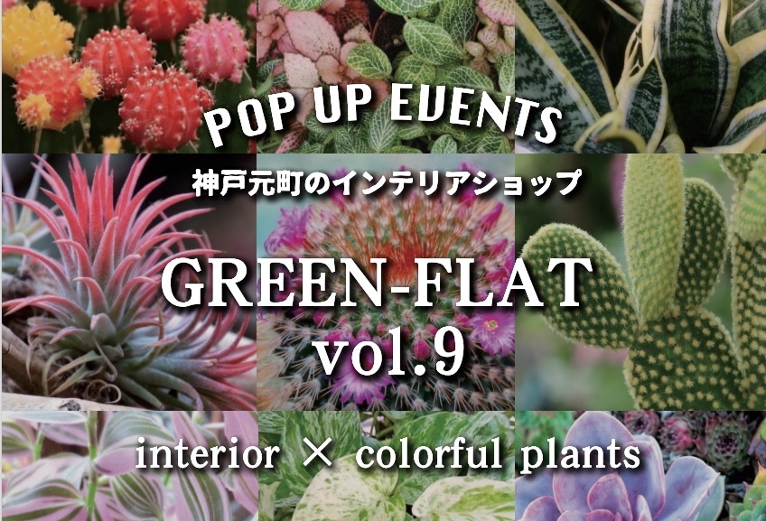 『GREEN-FLAT vol.9~interior×colorful plants』
