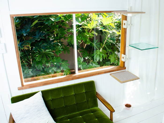 本体+アクリル棚板の組み合わせ例