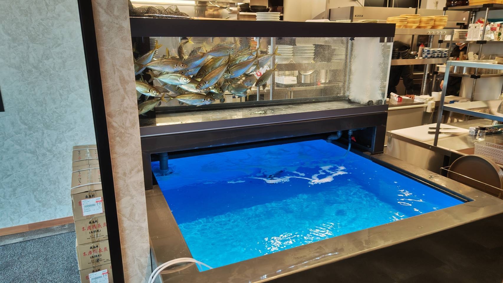 生簀で泳ぐ新鮮なお魚!