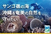 沖縄&奄美の自然を守りたい(撮影:Y.Yamagishi)