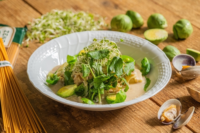 SPRINGグリーンのクリームZENBパスタ 1,800円(税込)