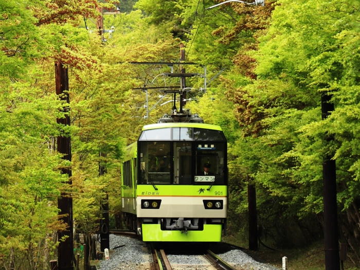 新緑の「もみじのトンネル」を走る「青もみじきらら」 901-902号車
