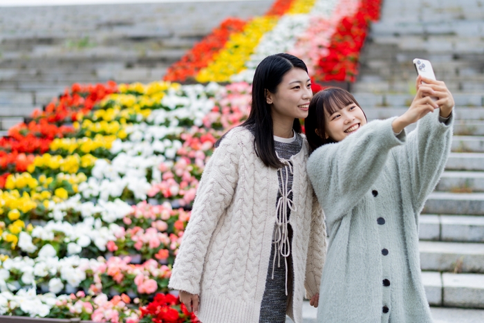大階段花壇(イメージ)
