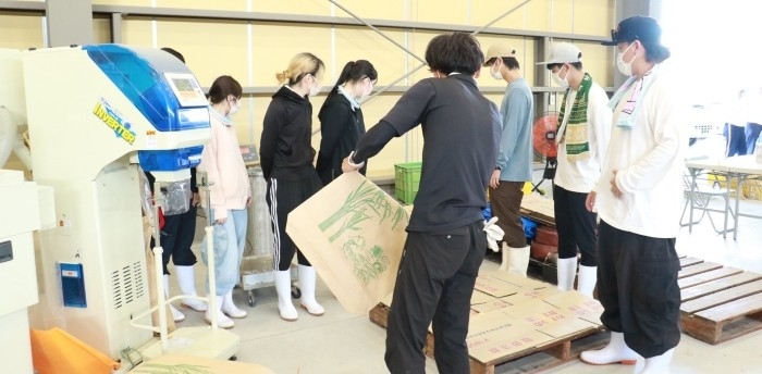 令和7年(2025年)9月、農学部生が参加した「特別栽培米 つや姫」籾摺り工程の様子