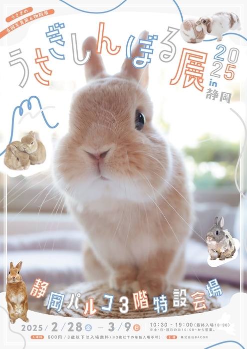 うさぎしんぼる展 キービジュアル