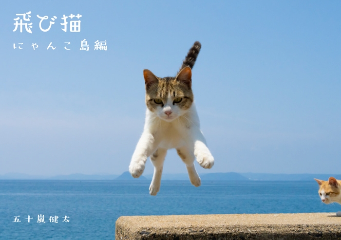 飛び猫(R) 五十嵐健太