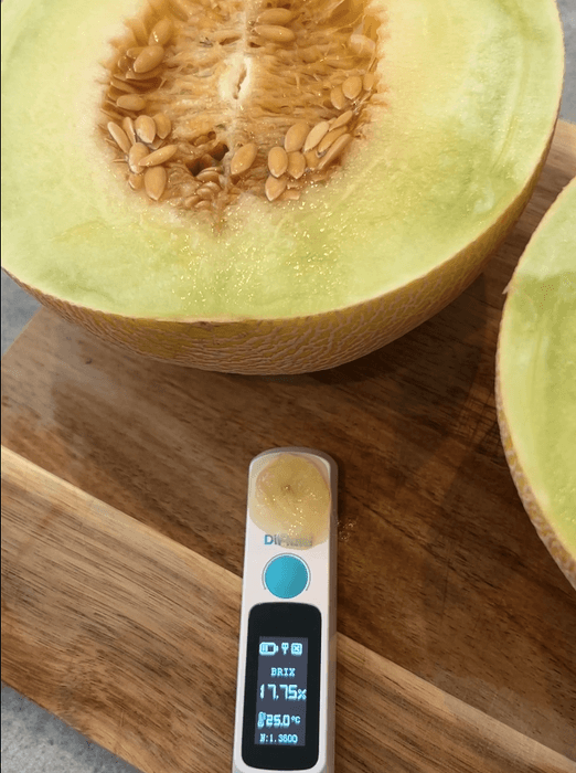 渡辺さんの渥美の陽光-HIKARI-