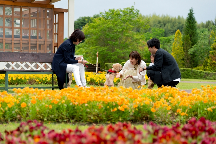 虹の花壇