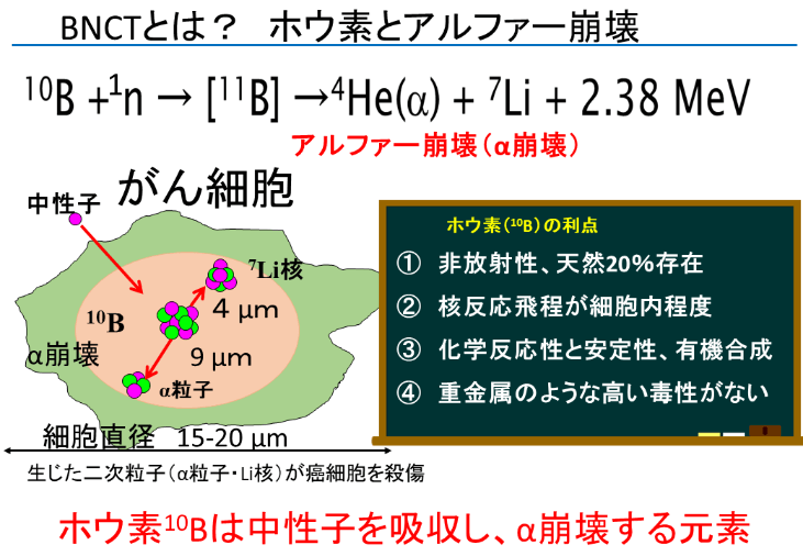 BNCTとは?ホウ素とアルファー崩壊