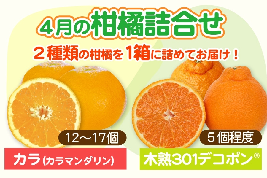 和歌山県産”4月の柑橘詰め合わせ”