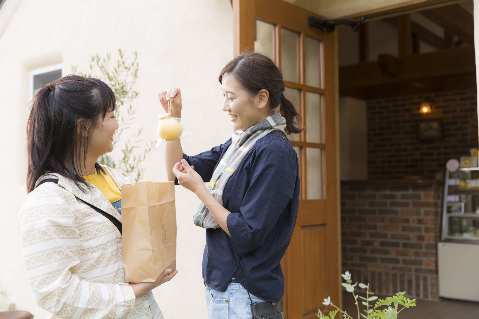 Three Brown チーズ(2)