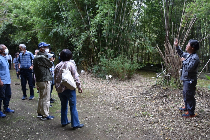 多彩な竹笹を紹介する中尾准教授(右)