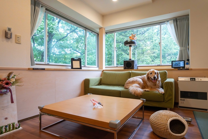 ねこちゃん&わんちゃん、一緒に宿泊もOK