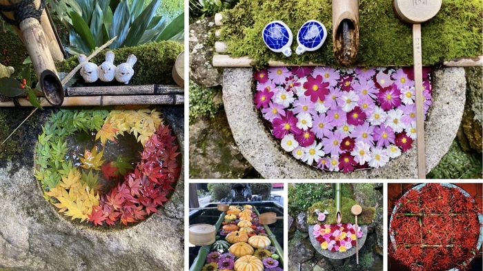 柳谷観音・楊谷寺(京都府長岡京市)の花手水いろいろ