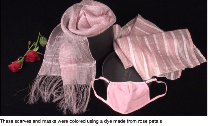 BIZ STREAMの予告画像より（花染め）