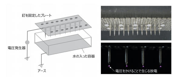 今回新たに開発した装置の構造(左)、釘を固定した部分の拡大画像(右)