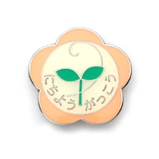 日曜学校進級記念