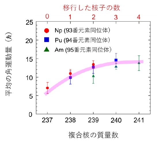 図5 18O+237Npの多核子移行反応で生成される複合核(Np*, Pu*, Am*)の、複合核質量数に対する角運動量をプロットしたものです。図の上の目盛りは、移行する核子の数を示しています。曲線は、傾向を示すためのガイドです。