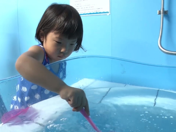 みとしーラボ(生物すくい)