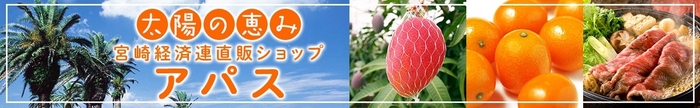 宮崎経済連直販ショップ アパス