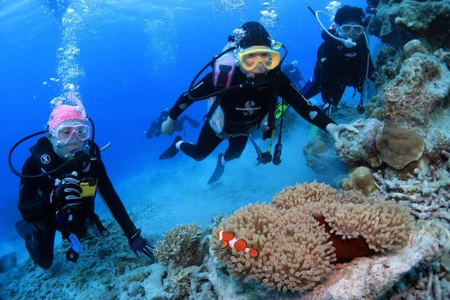 日本初！50歳から始めるのんびり「大人のダイビング教室」を開講 　～夏場は伊豆方面・秋冬期間は沖縄方面でストレスレス～