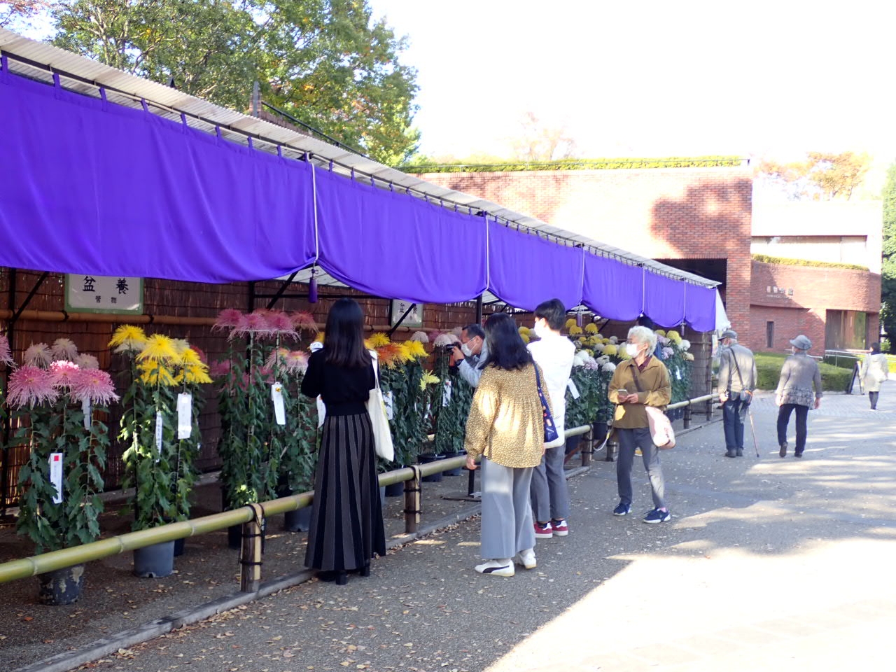 展示を楽しむ来園者(過去の様子)