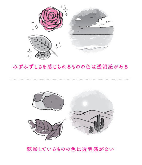 透明感のある色は水分を含んだ色（本書61ページより／イラスト：千坂まこ）