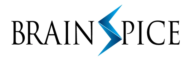 株式会社ブレインスパイス