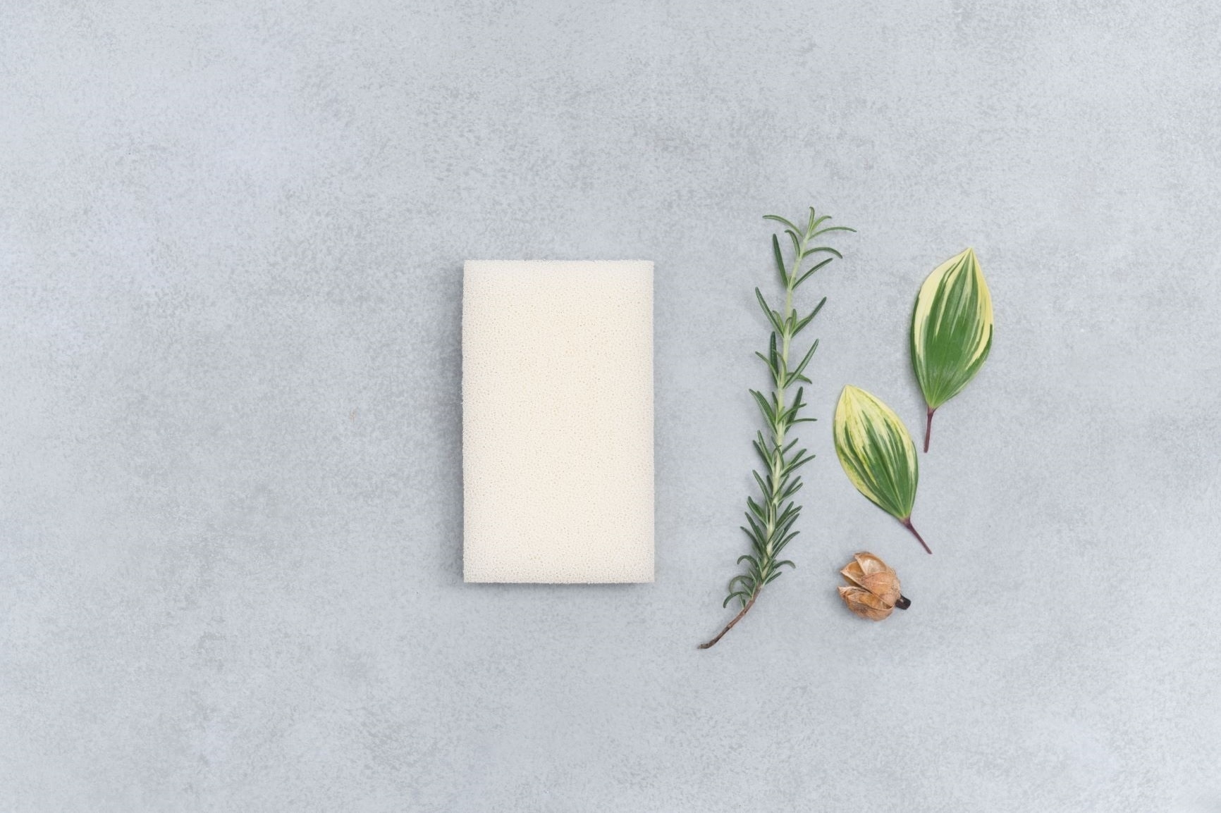 ヤシ由来の植物性素材