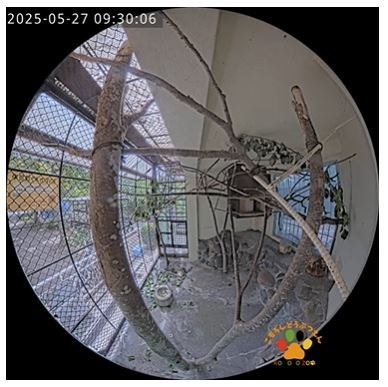 小諸市動物園公式YouTubeチャンネル ムササビ舎ライブカメラ