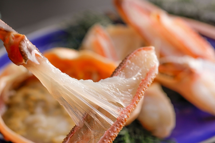 佳松苑 別邸ふうか［一例］