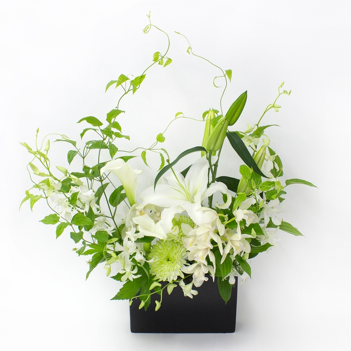 『和』なごみシリーズ LL ¥22,000(税込)