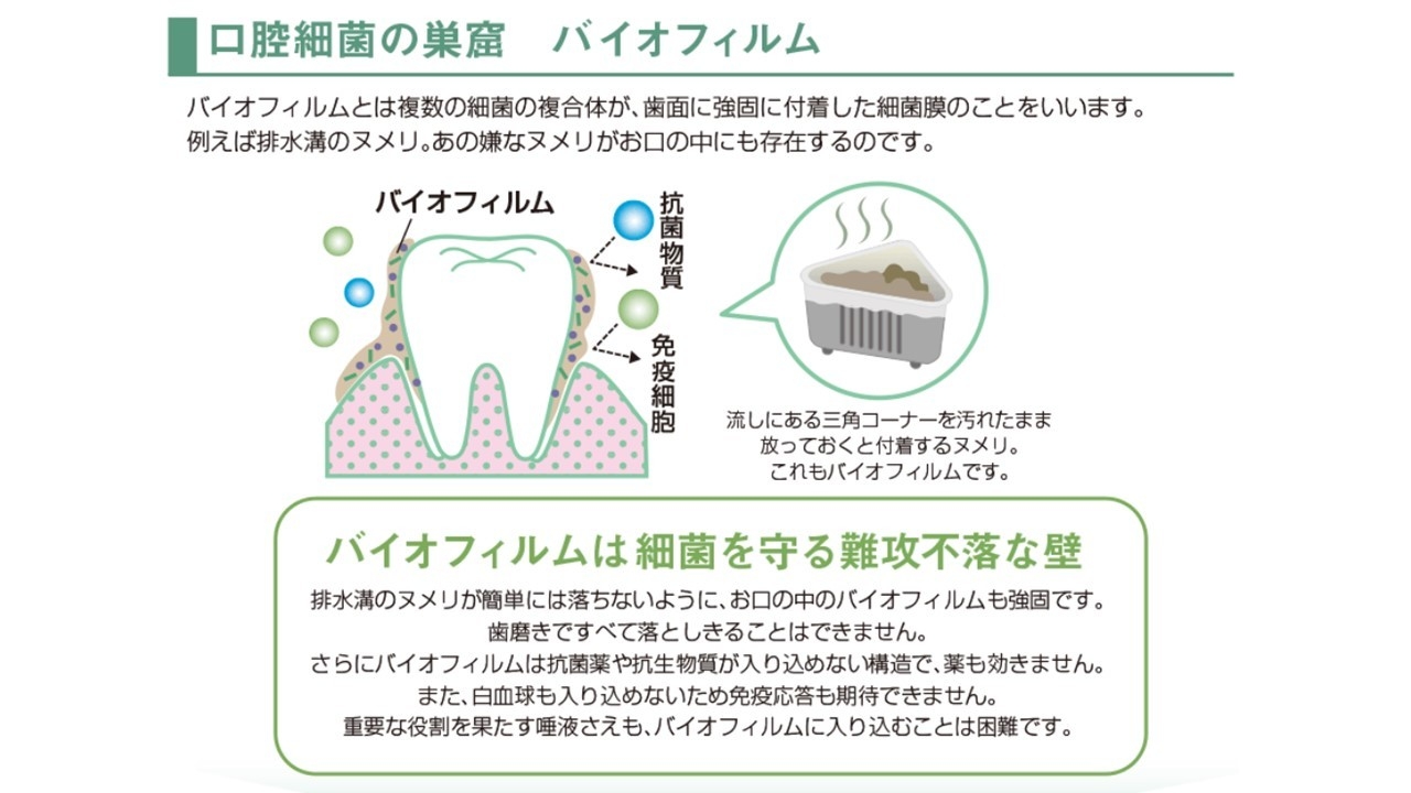 バイオフィルムとは