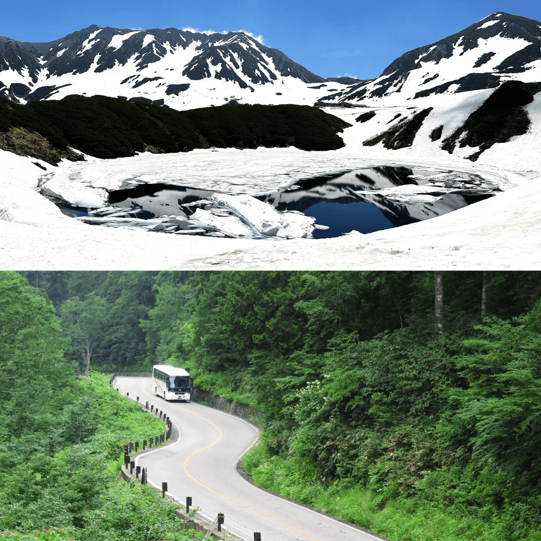 6月は標高によって「雪と新緑」2つの景色が楽しめる (上)室堂平・みくりが池 (下)立山高原バス道路・桑谷周辺