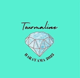 チーム「トルマリン」(任意団体ブルーデージー運営事務局)