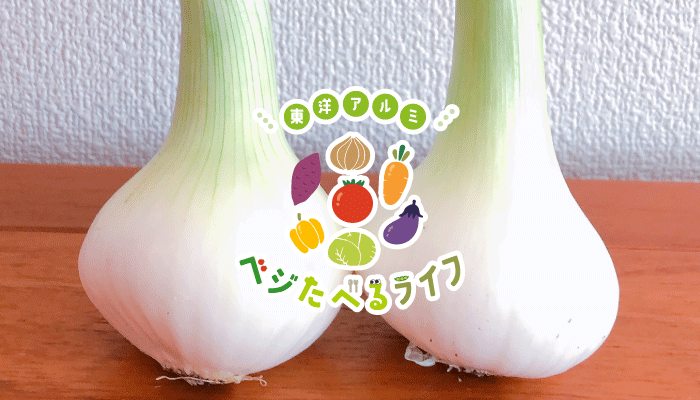 ベジたべるライフ 玉ねぎ
