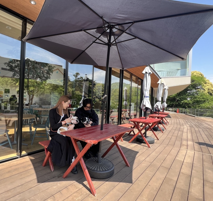 ゆったり過ごせるテラス席