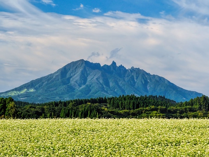 阿蘇 根子岳とそば畑