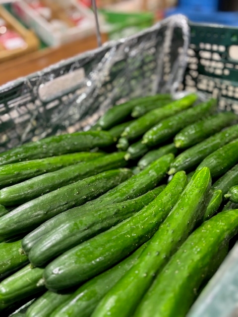 詰め放題・つかみ取り・すくい取り・刺し放題！等のイベントが盛りだくさん！