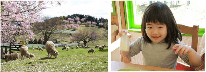 画像提供:伊香保グリーン牧場