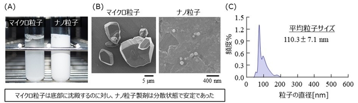 図1 (A,B)マイクロ粒子とナノ粒子の比較((A)製剤の外観画像、(B)電子顕微鏡画像)、(C)ミノキシジルナノ粒子の粒度分布 出展:Biol. Pharm. Bull., 47(12), 2024.(一部改変)