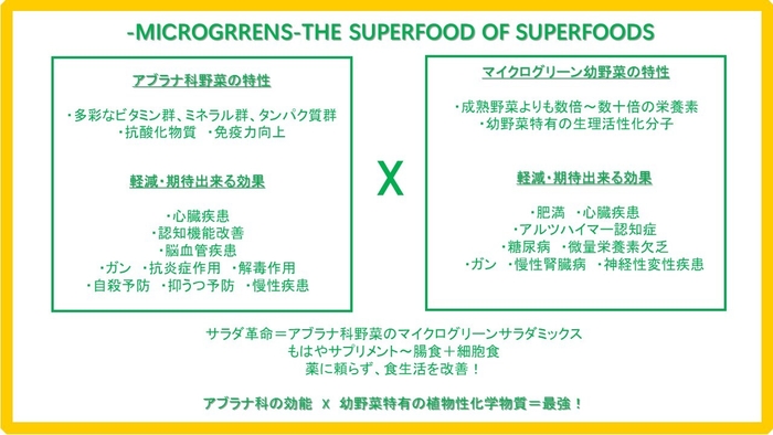 アブラナ科野菜と幼野菜効能