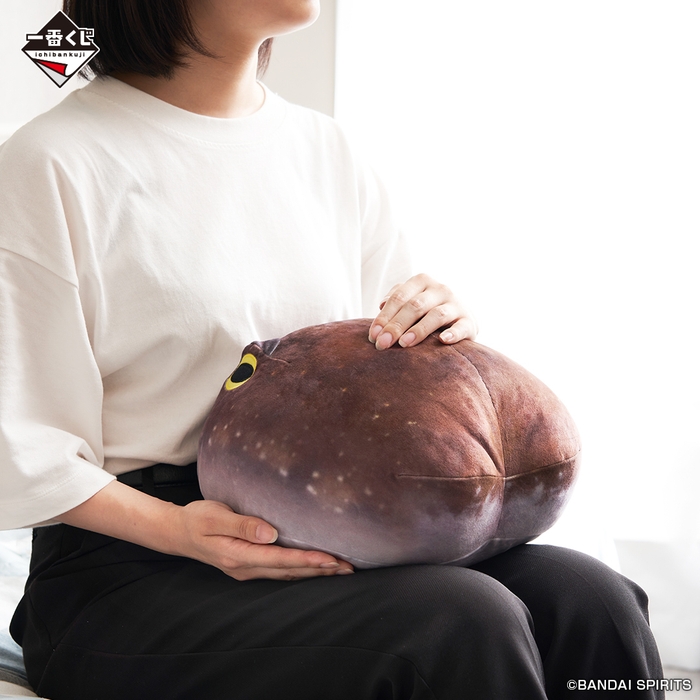 C賞:アメフクラガエルのおしりクッション(イメージ2)