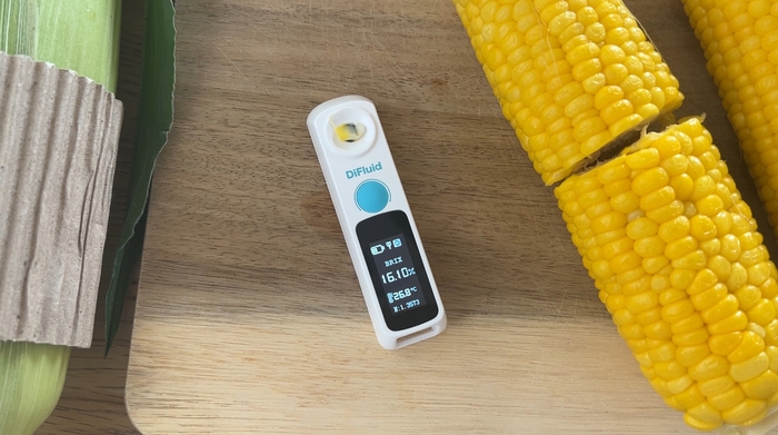 塩澤さんのゴールドラッシュ