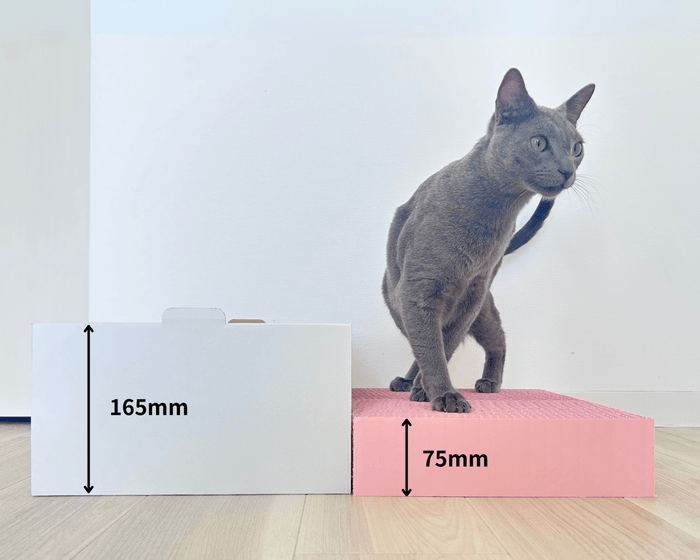 製品画像_サイズ(2)