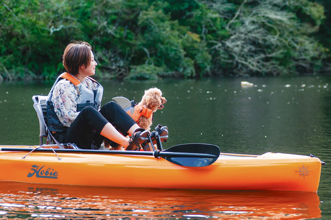 愛犬と一緒に水上散歩体験開催/2023年11月1日 犬の日